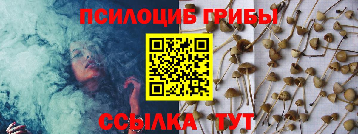 сколько стоит  Псилоцибиновые грибы Psilocybine cubensis  Галлюциногенные грибы Psilocybine cubensis  Вход с VPN  Сланцы 